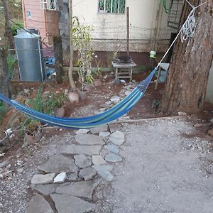 Apartment Ground Floor
